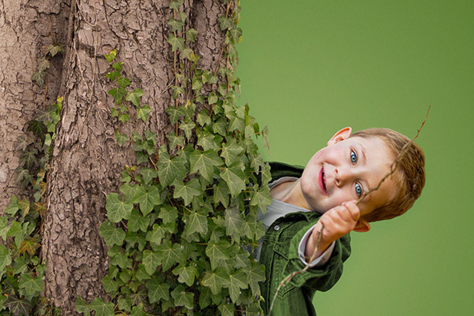 Kinder-reich Wörth a.d. Donau - Kreisverband Regensburg